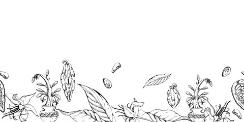 Obraz premium Coffee cocoa cacao beans, flowers, leaves seed pods, stylized tree. Mayan aztec mexican plant. Hand drawn ink vector illustration. Seamless banner isolated on white. Design travel, vacation, brochure