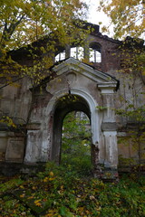 Obraz premium Terebushka village, Leningrad region, Russia - 10.13.2024 Ruins of the Church of the Assumption of the Blessed Virgin Mary
