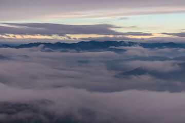 Fototapeta premium Breathtaking view of misty forest landscape. Dense woodland stretches out into distance, shrouded in layer of fog that creates mysterious ethereal atmosphere. Landing in Ljubljana Joze Pucnik Airport