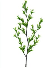 Vibrant Green Sprig: Closeup of a Lush Artificial Plant Branch Against a White Background