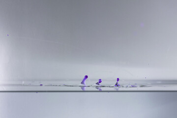 farbe tropfen wasser lila