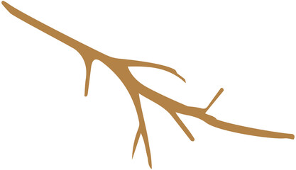 Obraz premium Tree Branch Plant Isolated Icon