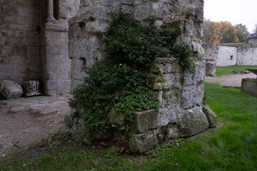 Abbey ruins of Jumièges, dating from the early first millennium and located in France.