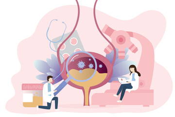  Bladder infection concept. The doctor examines and diagnoses urinary tract disease. Urinary Tract Infections Virus in the bladder. Infection and inflammation of internal organ.