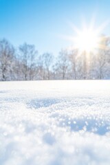 Obraz premium Celebrating National Short Person Day and Natures Diversity at Sunrise Perfect for Winter Solstice and New Years Card Themes