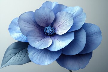 Obraz premium Close-up of a single, large, light blue flower with dark blue center and a single leaf.