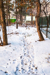 A serene winter pathway covered in snow with visible footprints, surrounded by trees and a metal fence on the right. The golden sunlight highlights the tree trunks and creates a warm contrast