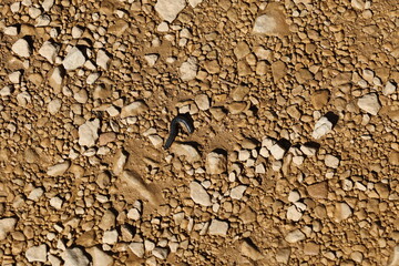 ground