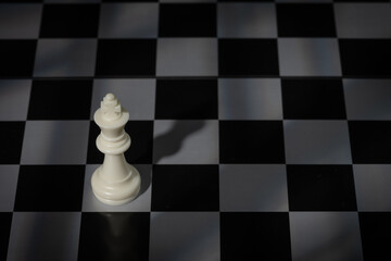 A close-up of a chessboard highlighting the white KING standing out among black pieces, symbolizing...
