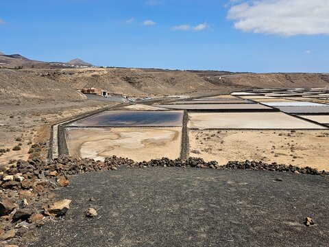 Les salines de Janubio d&eacute;voilent leurs bassins rectilignes aux teintes vari&eacute;es, encadr&eacute;s par des digues de pierre, dans un paysage d&eacute;sertique baign&eacute; de soleil.