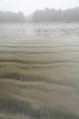 Chesterman beach all foggy on a moody, cloudy day. Near Tofino, Vancouver Island, British Columbia,...