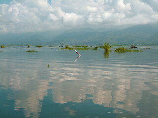  Inle Boat Station in Inle Nyaung Shwe Canal. A series of fishing boats along the river generated...