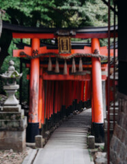 Fushimi Inari Taisha Shrine, Fushimi-ku, Kyoto Prefecture, Kansai region, Kyoto, Japan, Shinto shrine, mountain way with red torii gates tunnel, wooden torii path, fox sculptures, travel to Japan