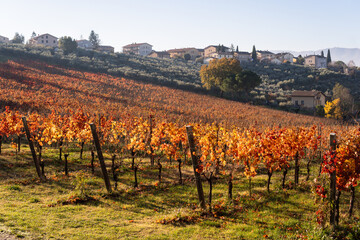Autumn landscape with vineyards and hilltop village of Montefalco in Umbria, Italy