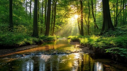 Obraz premium Gentle stream winding through a dense forest, sunlight filtering through leaves, casting a peaceful glow