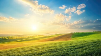 Obraz premium Vibrant agricultural landscape showcasing brown soil and lush green fields under a stunning blue sky with sunlit clouds at sunset.