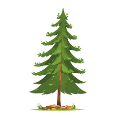Obraz premium Pine Tree Vector Art Style Illustration Isolated