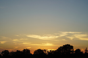 Fototapeta premium Sunset behind a walnut avenue