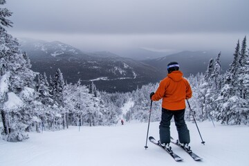 Skier enjoys breathtaking mountain view during winter sport adventure