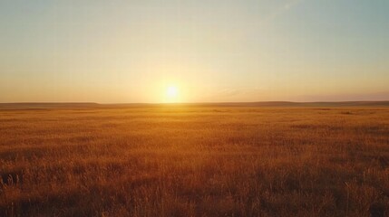 Obraz premium Golden hour on the vast prairie, as the sun dips low, casting a serene glow over endless horizons.