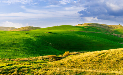 Obraz premium countryside green field during sunrise of sunset in warm light. beautiful spring landscape in the mountains. grassy field and hills. rural scenery