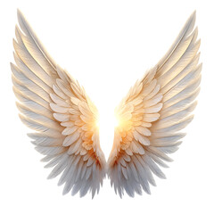Fototapeta premium Angel wings isolated on white background with clipping part