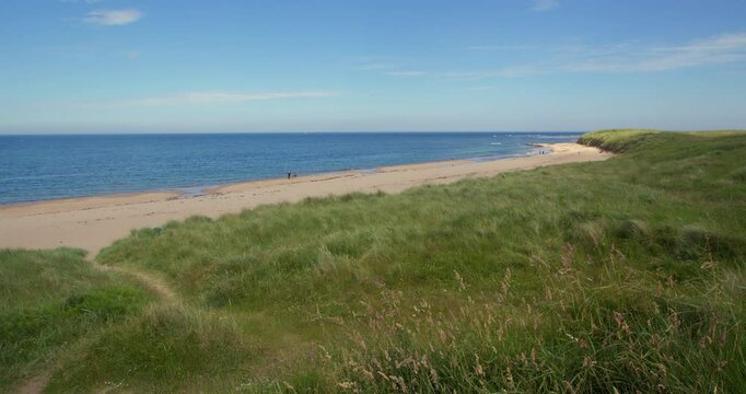 Extra wide shot of the view looking east of grass covered sand dunes with Longhoughton beach of the howdiemony sands in the background