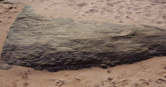 slow zoom into tightly packed layered sedimentary rock strata at Longhoughton beach of the howdiemony sands. Alnwick.