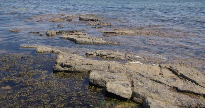 Wide shot of the sea lapping over sedimentary rocks and seaweed with the tide coming in at Longhoughton beach of the howdiemony sands. Alnwick.