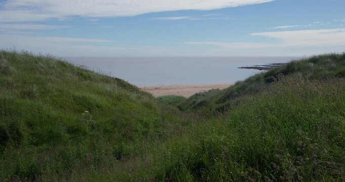 wide shot of the view of grass covered sand dunes with Longhoughton beach of the howdiemony sands in the background