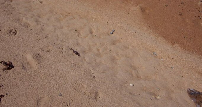 mid shot from right to left of frame of incoming high tide flowing over dry sand