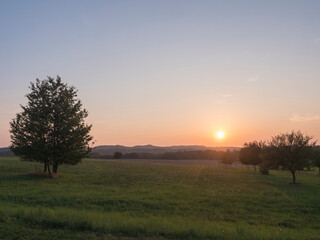Orange sunset over green summer meadow and forest with alone cherry tree and deciduous tree alley, clear sky background, Countryside landscape, copy space, Kokorin region, central Bohemia