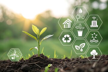 plant in the shape of a house