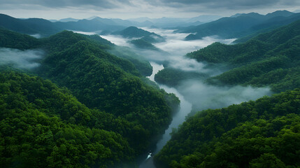 Obraz premium Serene river flowing through misty mountains nature landscape aerial view