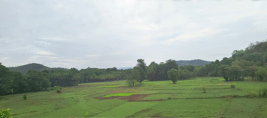 Serene countryside landscape featuring lush green fields bordered by trees and distant hills under a tranquil sky, inspiring a sense of calm and connection with nature's beauty