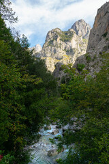 Cares River flowing through the mountains of the Picos de Europa in Asturias, Spain.