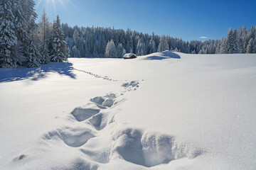 Footprints in the new deep snow on the wall in the mountains, a walk in the sun and snow.
