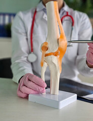 Detailed demonstration of knee joint anatomy by a medical professional in a clinical setting concept
