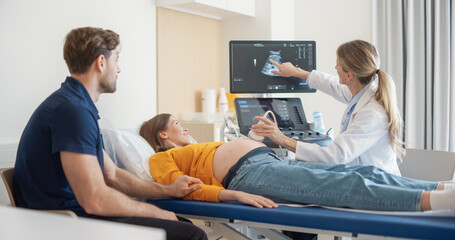 Modern Prenatal Ultrasound Session in a Hospital. Female Doctor Examining a Fetus on Computer...
