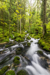 Obraz premium Zufluss der Orbe, Vallorbe, Waadt, Schweiz