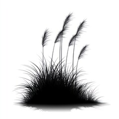 Fototapeta premium Silhouette of ornamental grass with seed heads.