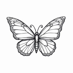 Obraz premium Coloring Page of a Big Butterfly with Bold Wings