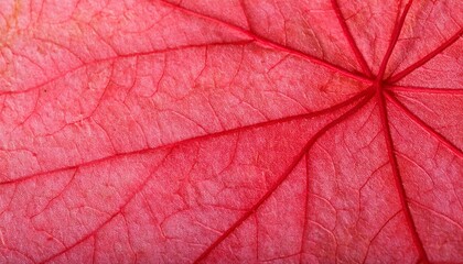 Obraz premium 秋をイメージした抽象的な背景（赤）