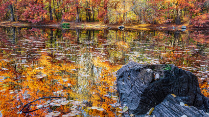 Autumn
