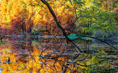 Autumn
