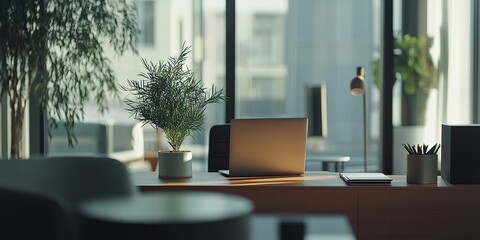 Fototapeta premium Modern workspace with laptop and plant on desk, city view