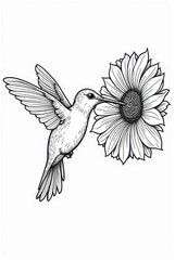 Obraz premium Hummingbird Sipping Nectar from Mandala Flower Coloring Page