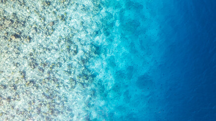 Top view of the turquoise gradient color of the water. The ocean is like a background. Incredible gradient from light blue to dark. Reef and fish swim. Clear water in the lagoon. The drone. Maldives