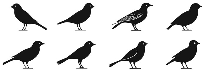 Obraz premium Silhouettes of birds in various poses, showcasing different species and stances. Eight distinct bird shapes displayed in two rows., vector illustration, isolated, flat