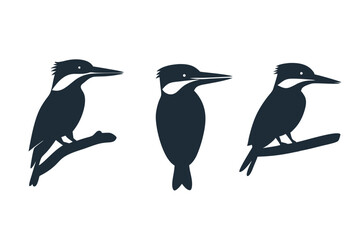 Fototapeta premium Woodpecker silhouettes, three distinct poses, showcasing bird anatomy and posture, minimalist design, vector illustration, isolated, flat